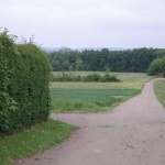 B38