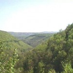 B49